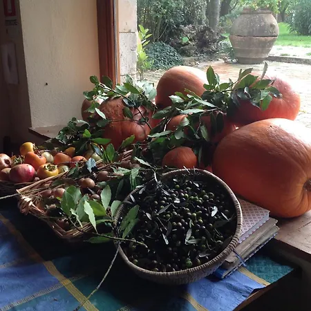 Sant'ilario Sul Farfa Farm stay Monte Santa Maria